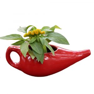 Handmade Ceramic Unique Planter Pot