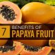 Papaya-Fruit-1024x1024