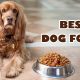 best dog food
