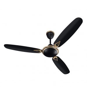 anchor by panasonic Luxoria 1200mm Ceiling Fan