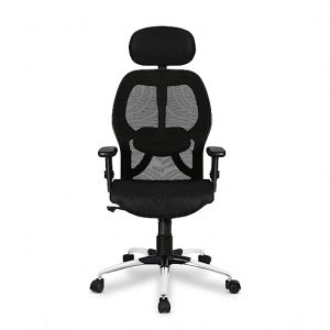 Ergonomic Office Chair, Adjustable Arms - Black (Nylon)-1