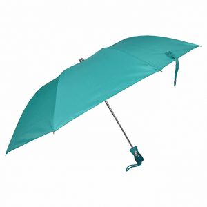 Fendo 21 inches 2 Fold Auto Open Umbrella for Travel Premium Umbrella for Women (Sea Green)