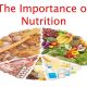 5 Reasons Why It’s Important to Understand the Nutritional Value of Your Diet