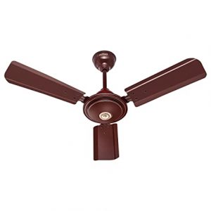 ACTIVA Apsra Brown 900 MM Sweep 650 RPM High Speed (36 INCH) BEE Approved Ceiling Fan with 2 Years Warranty
