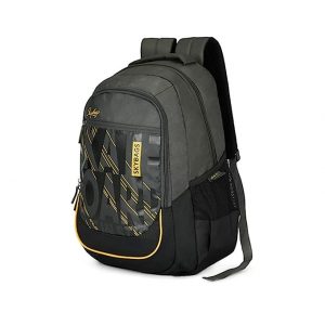 Skybags Chester Polyester Mens Laptop Backpack (Black,Free Size)