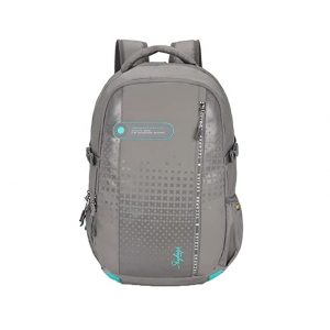Skybags Valor Pro Polyester Mens Laptop Backpack(GREY, FREE SIZE)
