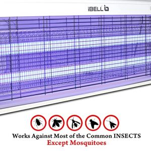iBELL 40W OS202IK Insect Killer Machine Bug Zapper Fly Catcher for Home Restaurants, Hotels & Offices, UV Bulbs, Insect Control (Grey)