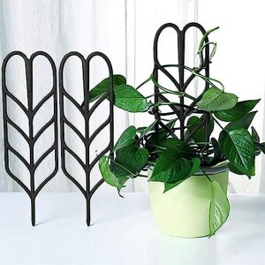 TrustBasket Climber Plant Support (Set of 5) Strong Metal and Highly Durable for All Flower, Vegetable, Herbs Plants Climber Support for Live Plants